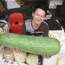 52每日大瓜视频,揭秘娱乐圈幕后故事，带你领略明星真实生活